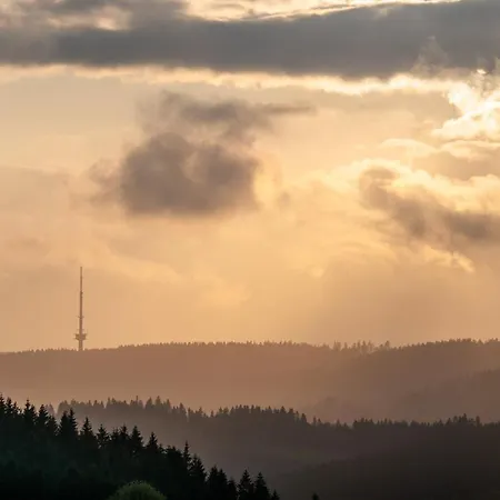 Hotel Fletcher Astenkrone-winterberg 4*