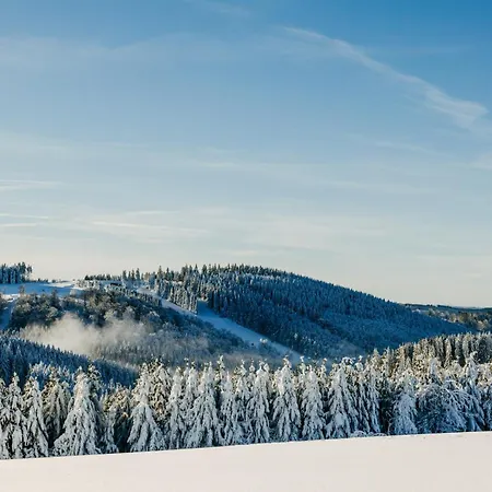 Fletcher Astenkrone-winterberg Hotel Winterberg