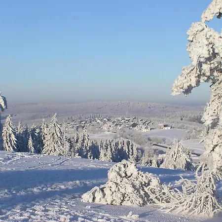 Fletcher Astenkrone-winterberg
