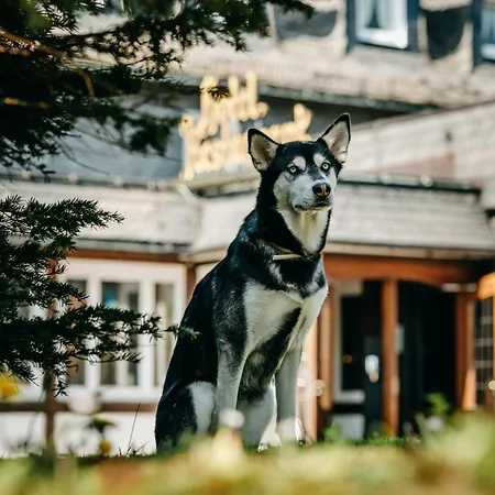 Romantik Astenkrone ווינטרברג