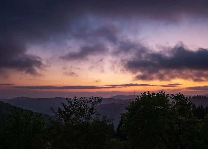Romantik Astenkrone Отель Винтерберг