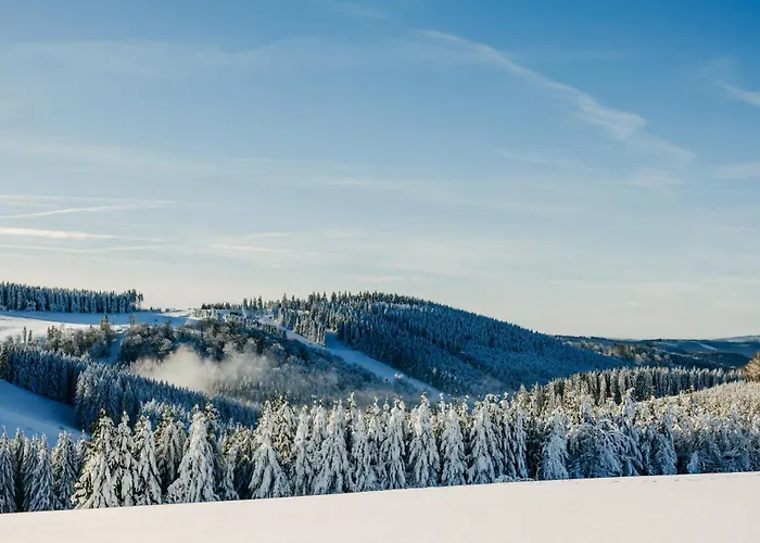 Romantik Astenkrone Отель Винтерберг