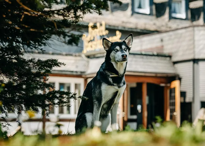 Romantik Astenkrone ווינטרברג